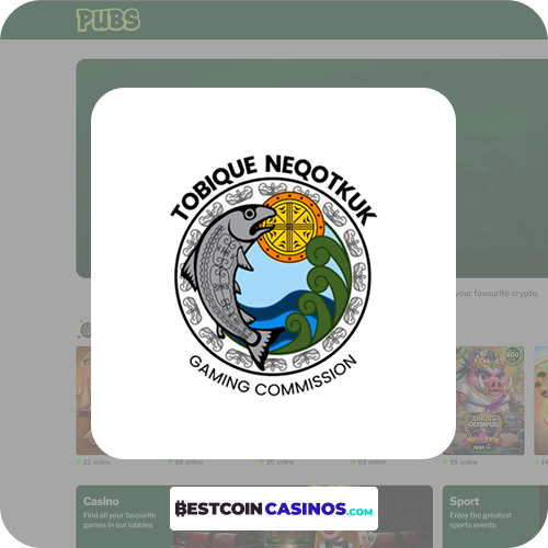 Pubs Casino License