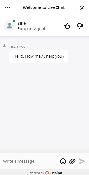 Slot vibe casino Live chat
